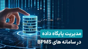 مدیریت پایگاه داده در سامانه BPMS